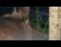 Spider thin legs bounce on window glass