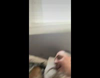 Dog hits woman on the head with paw in bed