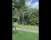 Granny Dances Around Walkway of Rural Garden