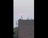 Collab WINY - Man brief yoga pose on building rooftop