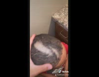 Bad haircut little brother fail