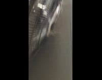 Electric fan with dust and hair stuck