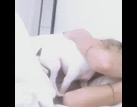 Small brown white dog squeezes between arms