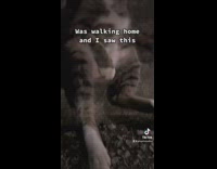 Cat sit like human on gutter angry