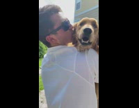 White shirt guy carries golden retriever dog 