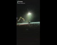 Collab BitchIG2 - Swarm of flying bugs around light pole generator 