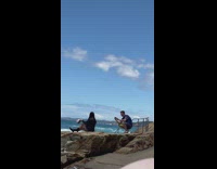 Woman in black sweater sits on the beach rock to pose