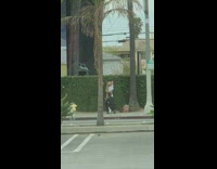 Cropped shirt grass hedge work it 