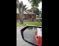 Collab Clips MPUGC2 - Woman tells neighbor she has big dog 