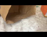 Pet rat crawls under the bed blanket