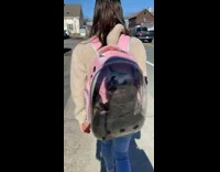 Cat inside the pink backpack pet carrier of the woman