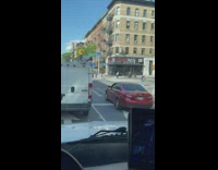 Woman carrying dog in harness across street 