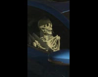Skeleton sitting on passenger seat of a car