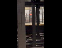 Guy opens emergency exit gate from inside