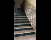 Collab PubityPets - Small white Pomeranian dog climb down stairs