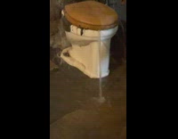 brown and white toilet flooded with water in basement