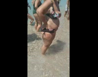 Large turtle washed up beach shore pt. 2
