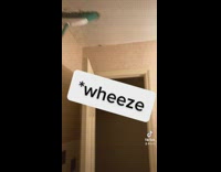 Collab BitchIG2 - Girl uses broom to get roach off wall 
