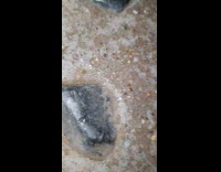 Hot concrete fizzles and chirps when watered