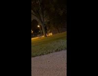 [duplicate clips mp] Man Runs Fast as Car Gets Pulled Over