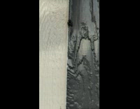 Lady Panics as Spider Jumps at Her