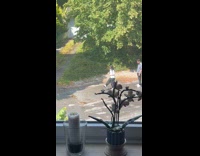 Couple makes video with bottle on sidewalk