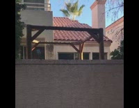 Dog jump on trampoline look over fence