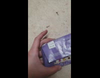 Twenty five years old expired chocolate holes