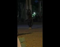 2 animal furries dance 