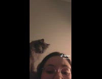 Grey cat pulls long strand of hair off girls head