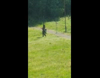 Girl black pants twerk dance grass tripod