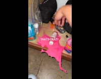 Woman gets scared of pepto bismol 