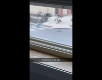 Woman blue hat sits pedestrian lane window