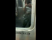 Bacteria grows on subway door window 