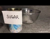 Fluffy the dog made with hair and sugar