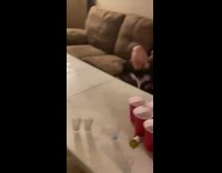 black dog on white foldable chair falls back