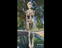 Target bag skeleton car antenna driving wind 
