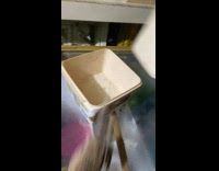 Frog jumps out from cookie tub from freezer