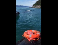 Collab Clips MPUGC - Men had close encounter with whales