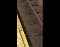 Rats in subway tracks