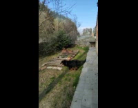 Two rottweiler dogs chasing each other in yard