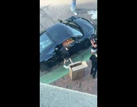 Guys fill up black car with balls