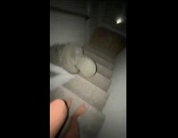 Woman slides down stairs on her stomach