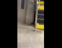 Rats crawl on subway beside stairs elevator
