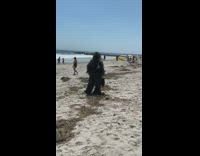 Guy in a swamp grass costume walks on sand 