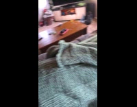 Woman found kitten underneath blanket on couch backrest