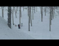 Woman in white sweater poses at the snowy forest