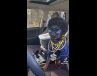 Owners black pug with fake afro wig and rapper outfit in car 
