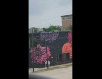 Two girls black building painted flowers quarantine
