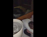 Guy sleeps bed water prank green blanket 